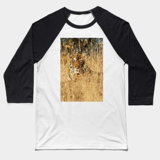 Sub-Adult Male Bengal Tiger Baseball T-Shirt